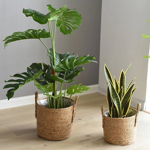 panier de rangement en jonc de mer fait main pour plantes et fleurs - vue 6 sur 9