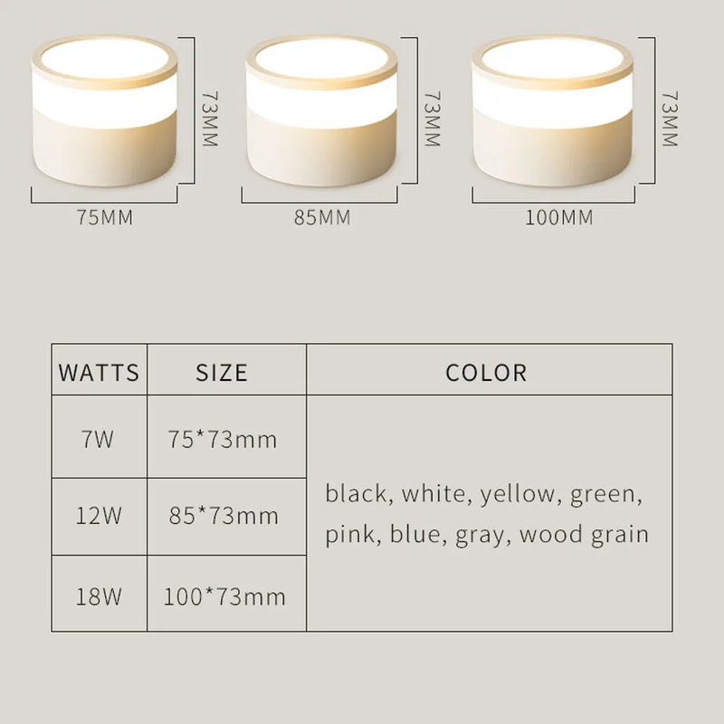 Spot LED rond cylindrique coloré