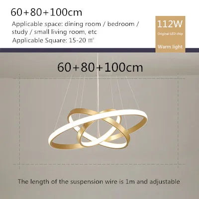 lustre moderne style nordique avec télécommande et anneau lumineux - vue 23 sur 30