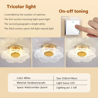 plafonnier led moderne en acrylique design pour intérieur décoratif