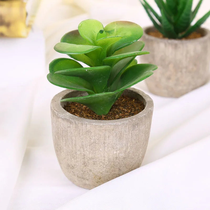 plantes succulentes artificielles pour décoration intérieure moderne - vue 11 sur 13