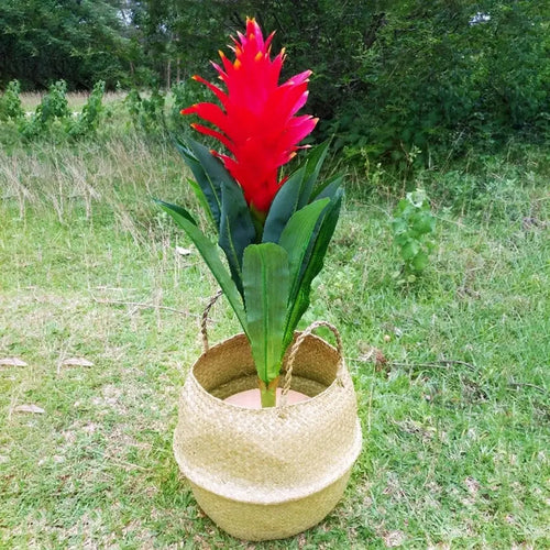 panier suspendu en osier pour rangement et décoration - vue 4 sur 16