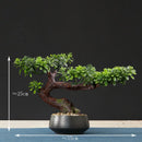 faux arbre bonsaï pour décoration intérieure et aménagement paysager
