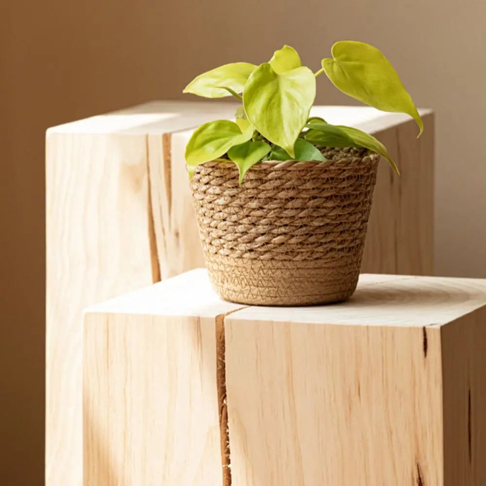 panier en osier tressé pour fleurs et rangement - vue 10 sur 9