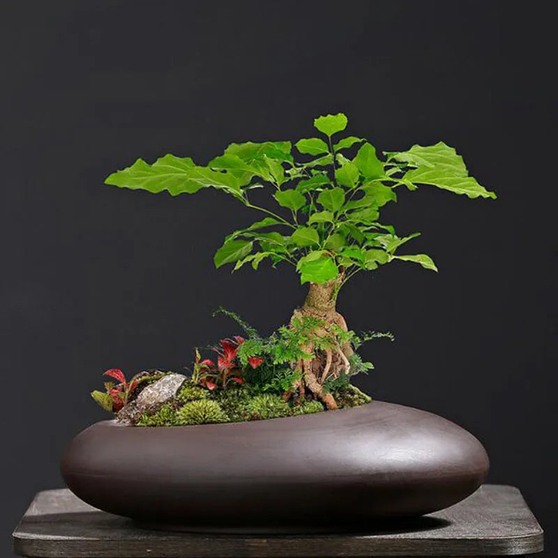 pot de fleurs en argile rétro style chinois pour décoration de jardin - vue 3 sur 7