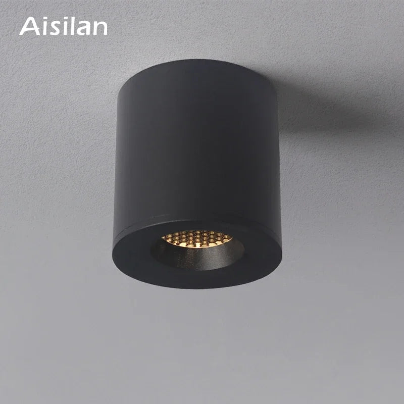 Aisilan Surface Monté Downlight LED COB Puce Super Anti-éblouissement Plafonnier pour Salon Couloir Foyer
