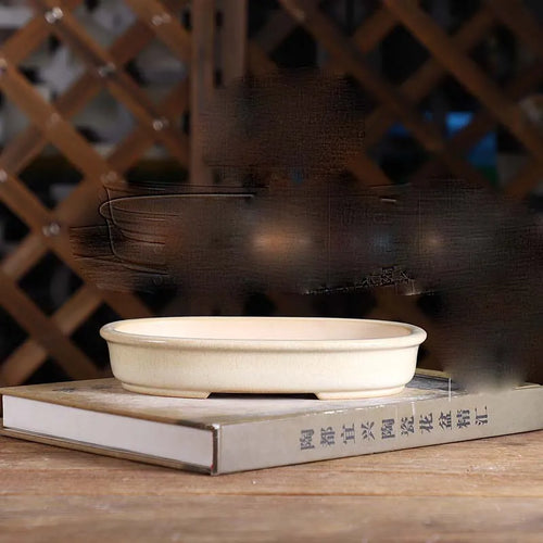 pot de fleurs rond en sable pour bonsaï rétro et succulentes - vue 20 sur 19