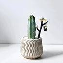 moules en silicone pour pots de fleurs en béton nordique et décoration intérieure
