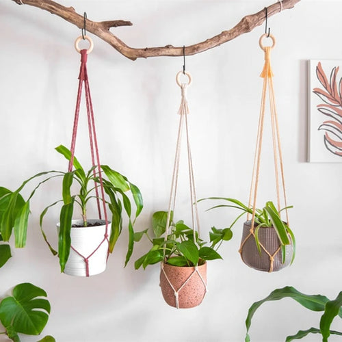 support de plante en macramé suspendu fait main en coton naturel - vue 5 sur 23