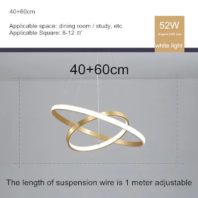 lustre moderne style nordique avec télécommande et anneau lumineux - vue 17 sur 30