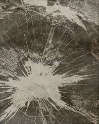 art abstrait sur toile anneaux des arbres décoration moderne pour la maison
