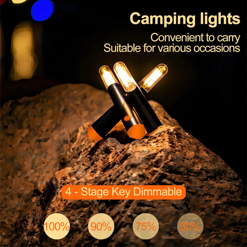 Lanterne LED Rechargeable par USB