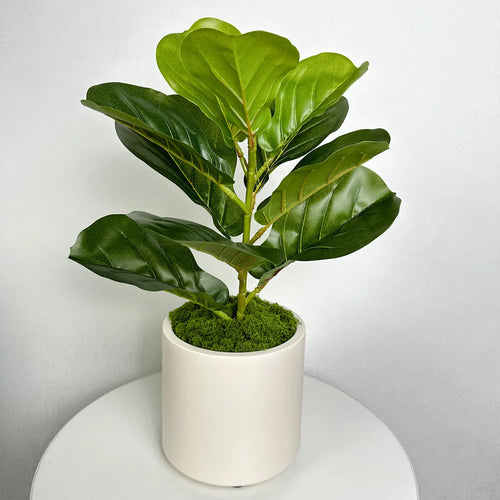 pot de fleurs en plastique pour décoration nordique maison et mariage - vue 4 sur 10
