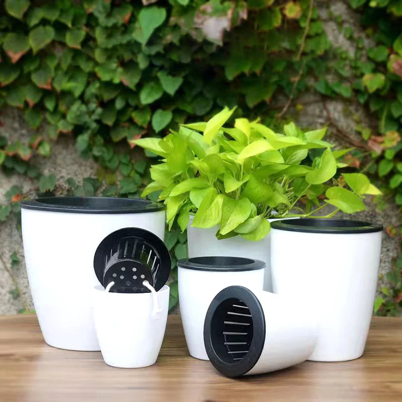 jardinière auto-arrosante moderne pour plantes succulentes et orchidées - vue 4 sur 12