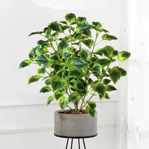 plantes artificielles d'eucalyptus et menthe tropicale pour décoration intérieur - vue 3 sur 8