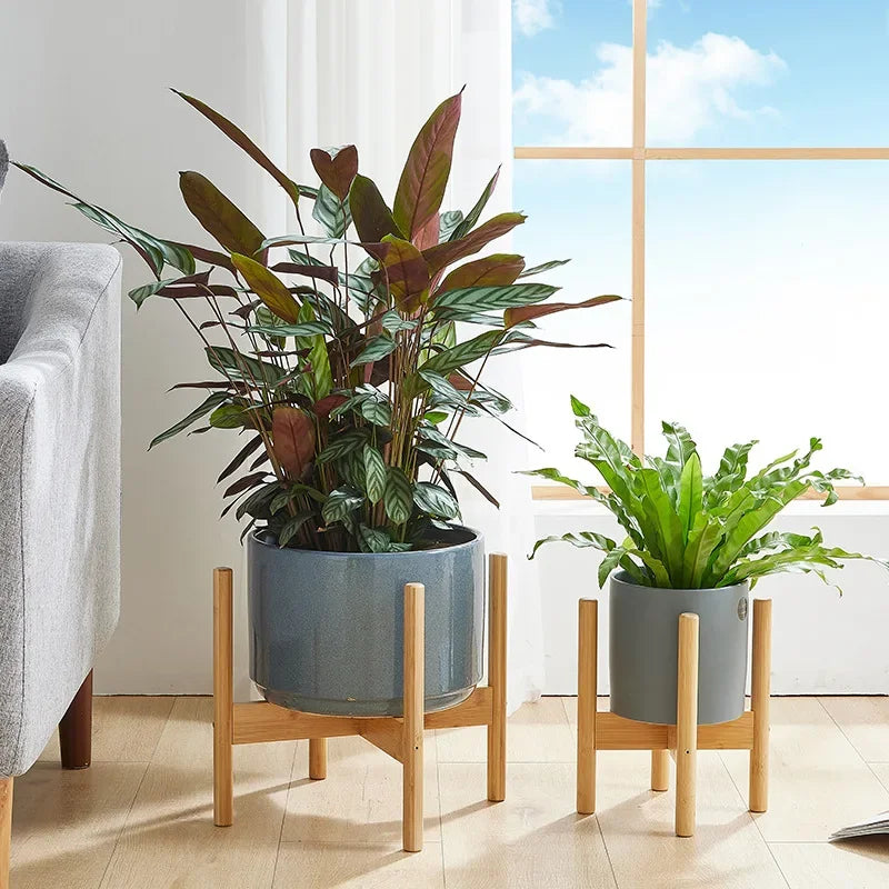 support en bois pour plantes et bonsaïs solide et durable