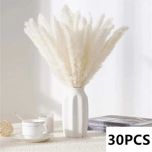 bouquet dherbe de pampa naturelle pour décoration et cadeaux - vue 14 sur 18