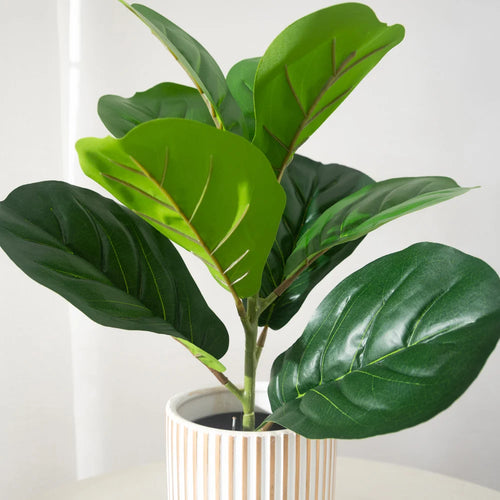 plantes artificielles ficus en plastique pour décoration intérieure et extérieure - vue 3 sur 5
