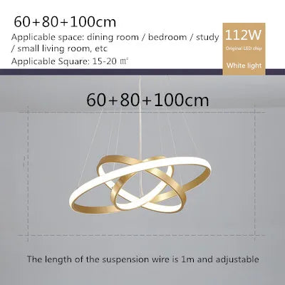 lustre moderne style nordique avec télécommande et anneau lumineux - vue 26 sur 30