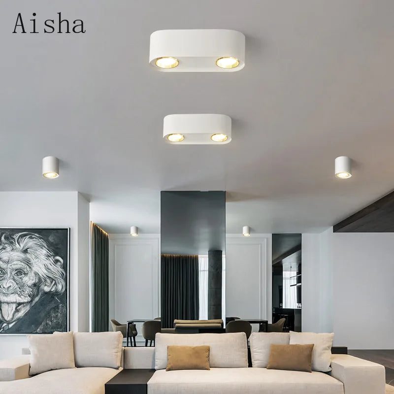 plafonnier double tête pour éclairage intérieur et extérieur - vue 3 sur 13