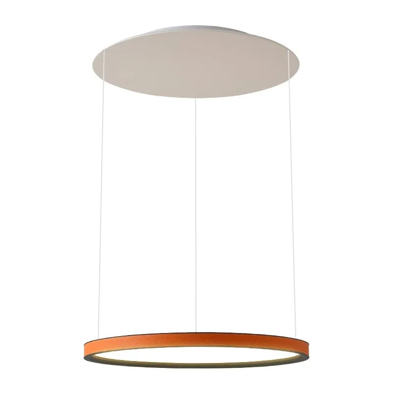 Nordic Modern Minimalist Restaurant Bar, Living Room, Bedroom, Ring Chandelier, Artistic Personality, Real Leather Chandelier - vue 7 sur 10