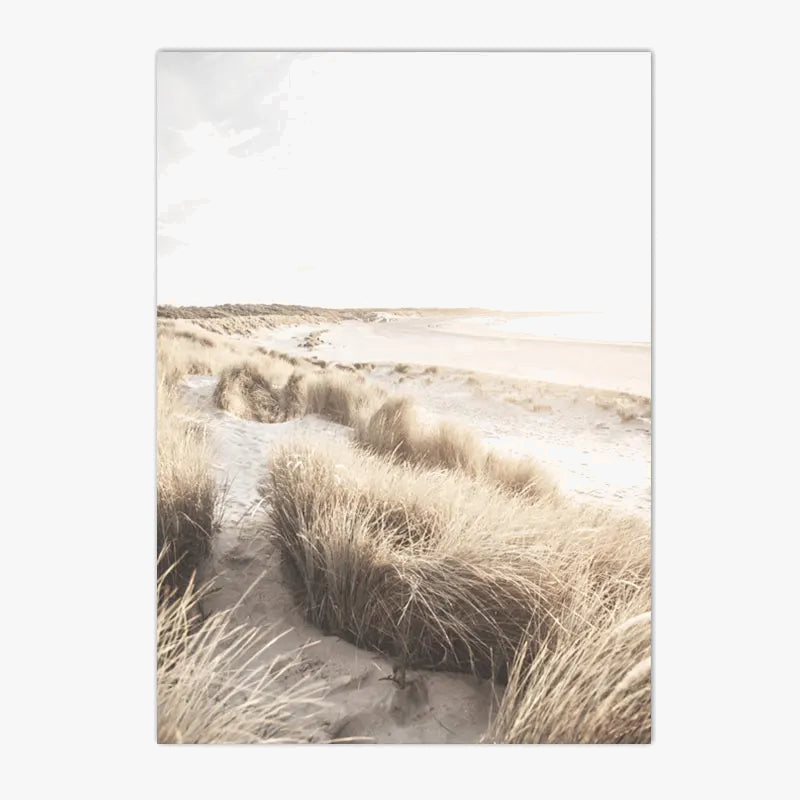 affiche-d-art-de-fleurs-s-ch-es-pour-d-coration-murale-0.png