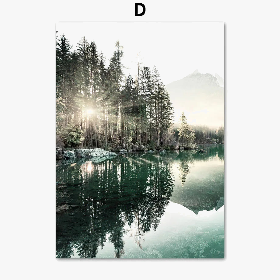 affiche paysage naturel matin lac plage herbe dentelle fleur renard