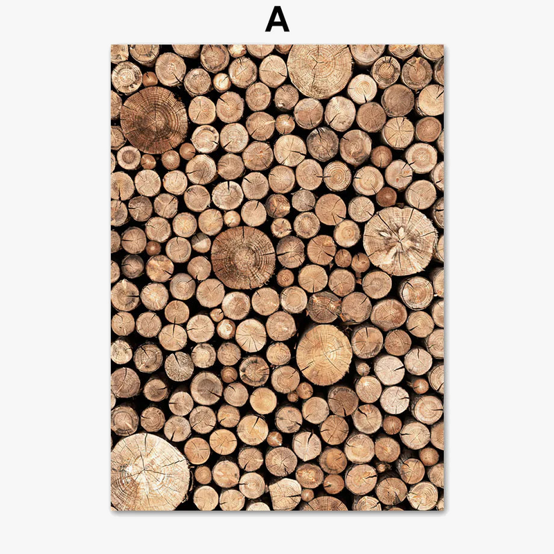 affiches-de-paysage-naturel-lac-plage-renard-art-mural-d-coration-3.png