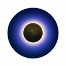 49241248792922|49241248825690|49241248858458|49241248891226