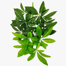 arbre-artificiel-bonsa-en-pot-pour-d-coration-int-rieure-et-ext-rieure-2.png