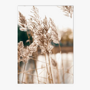 art-mural-nature-roseaux-oiseaux-fleurs-empreintes-d-cor-nordique-6.png