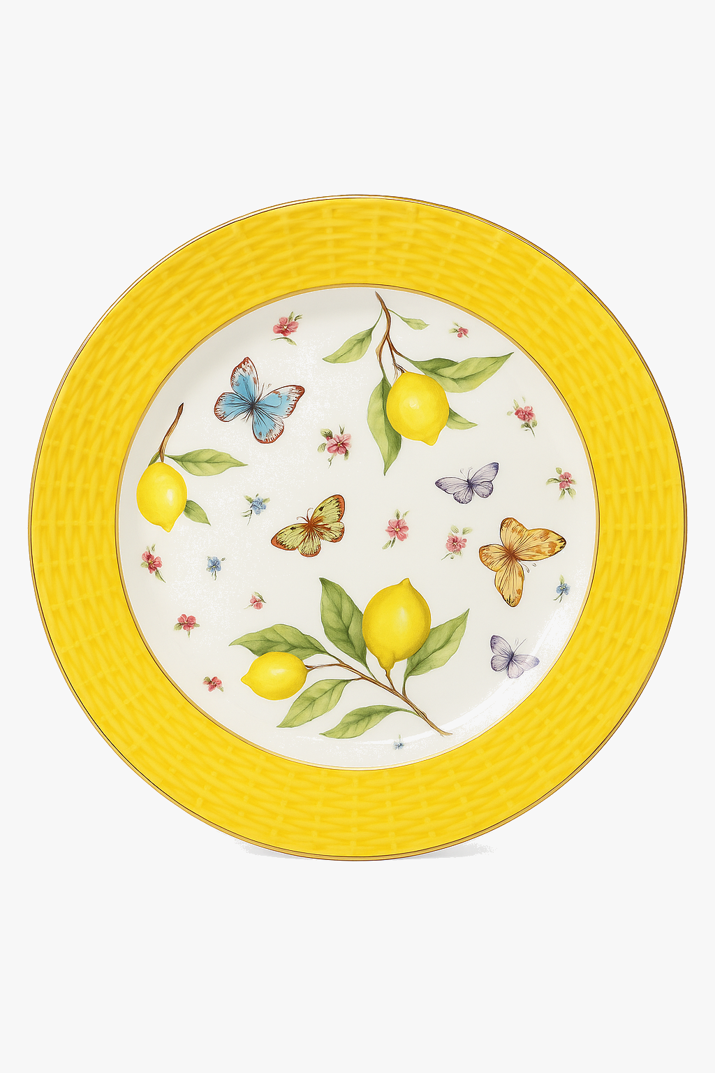 Assiette bol en céramique motif citron style européen