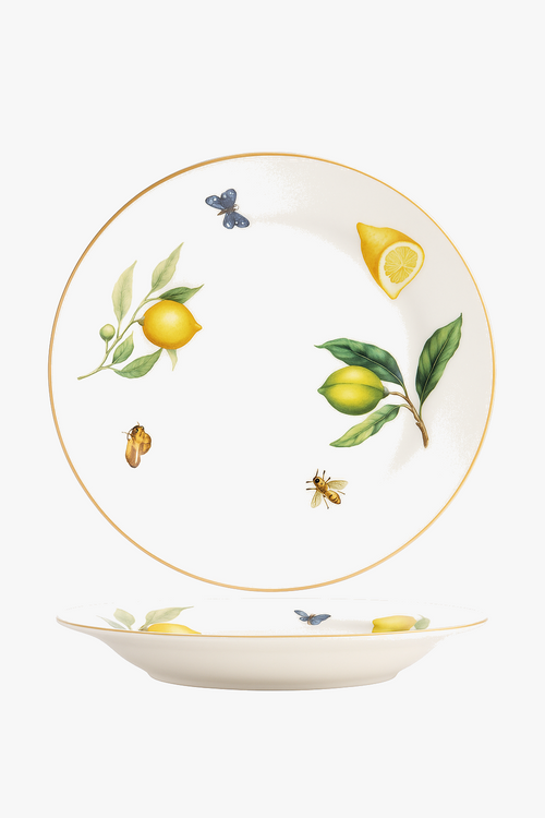 assiette-ceramique-motif-citron-style-europeen-cuisine-0.png