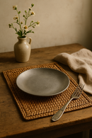 Assiette plate vintage acier inox style industriel camping