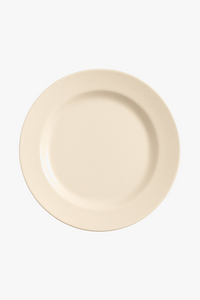 Assiettes nordiques polypropylène légères réutilisables pour cuisine
