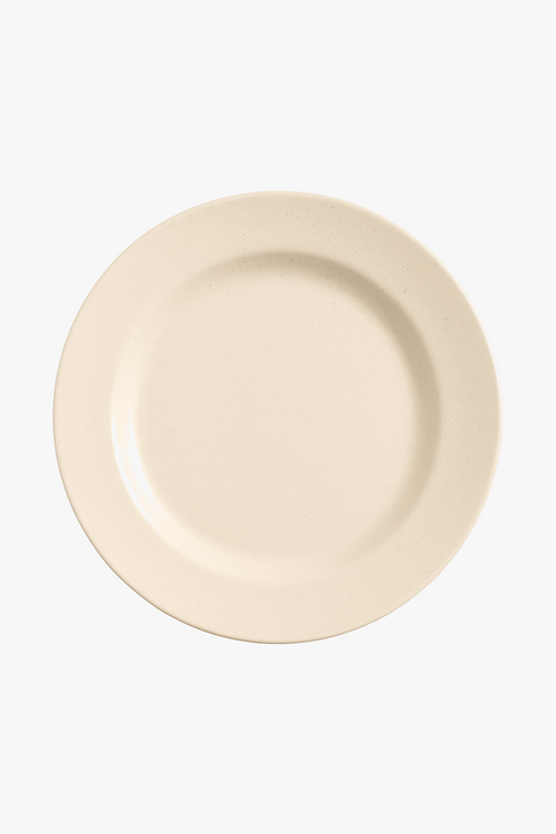 assiettes-nordiques-polypropyl-ne-l-g-res-r-utilisables-pour-cuisine-0.png