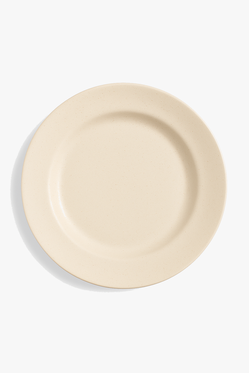 Assiettes style nordique en polypropylène légères et durables
