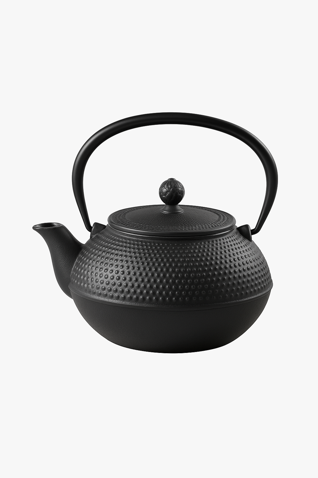 Bouilloire fonte style kung fu chinois avec filtre