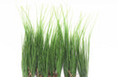 bouquet-de-plantes-artificielles-tropicales-pour-d-coration-int-rieure-et-ext-rieure-3.png