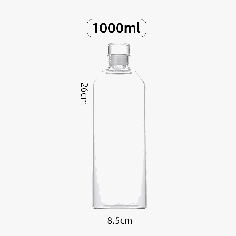Bouteille eau verre infuseur sport extérieur grande capacité