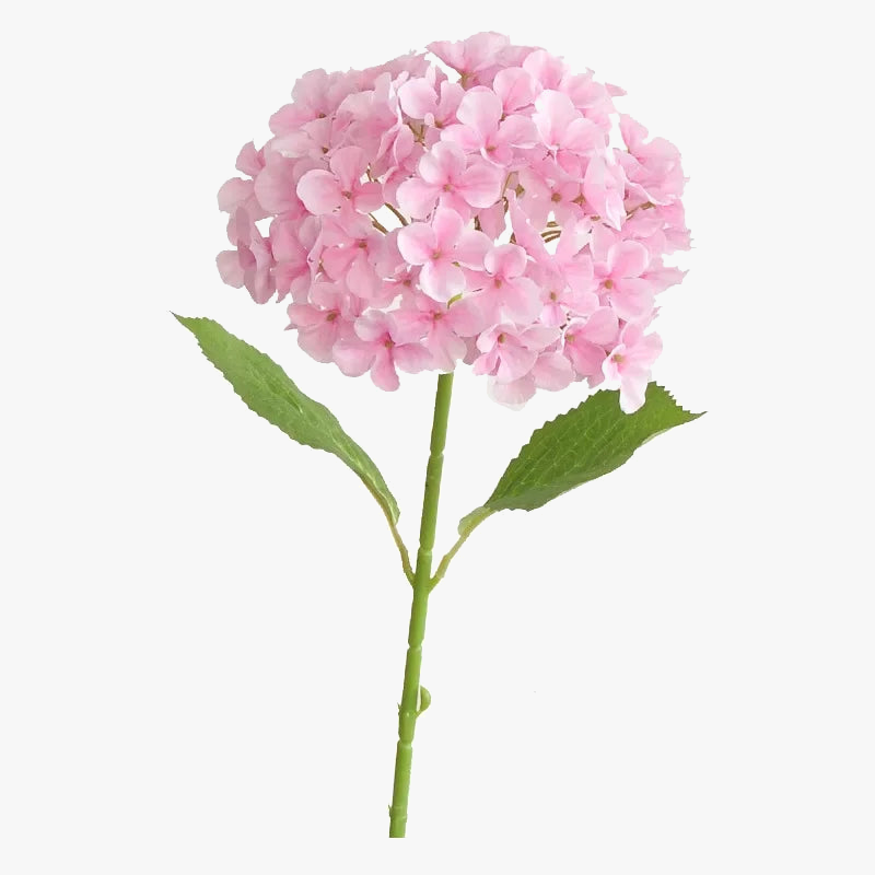 branche d'hortensia artificielle pour décoration intérieure et bureau