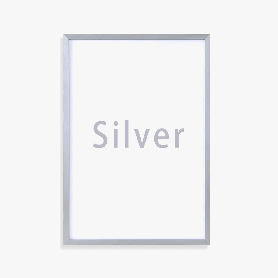 cadre-photo-en-aluminium-pour-d-coration-murale-int-rieure-8.png