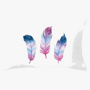 coussin-d-coratif-rectangulaire-motifs-plumes-30-x-50-cm-0.png