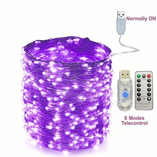 guirlande-lumineuse-led-en-fil-de-cuivre-pour-d-corations-festives-7.png