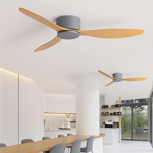 Haute qualité nordique plancher bas moderne ventilateur de plafond lampe DC LED ventilateur de plafond avec télécommande ménage simple ventilateur de plafond - vue 9 sur 14