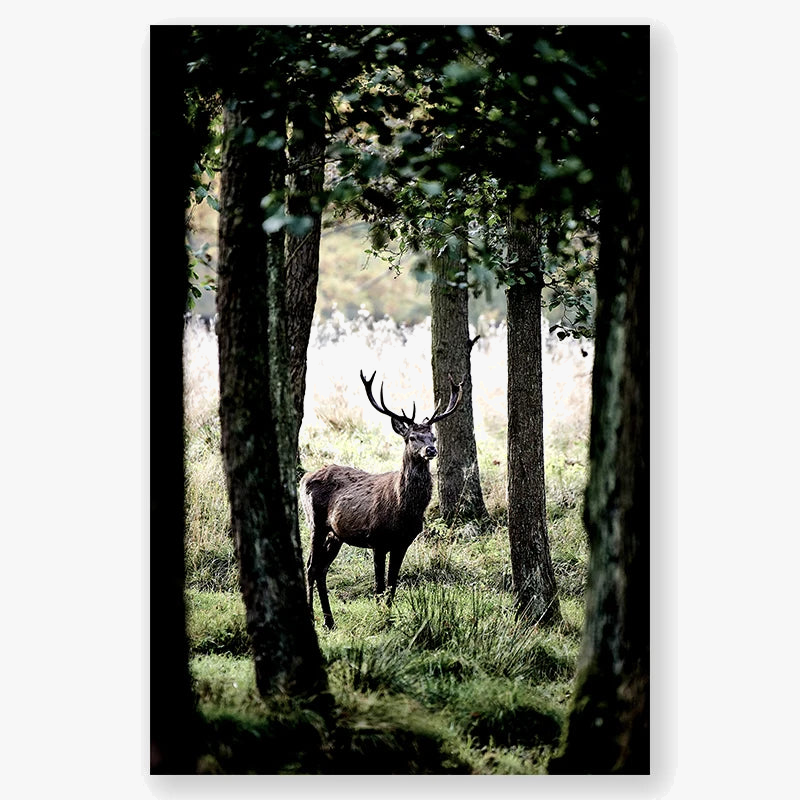 hiver forêt cerf hibou paysage nordique toile décorative murale