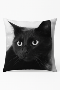 housse de coussin carrée chat noir pour décoration intérieure