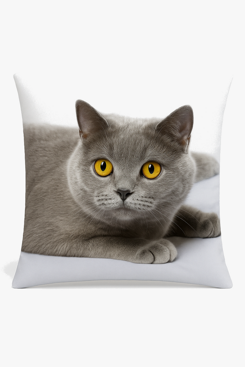 housse-de-coussin-d-corative-avec-motif-chat-mignon-0.png