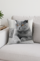 housse de coussin décorative chat mignon pour intérieur