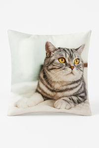 housse de coussin décorative motif chat mignon pour intérieur